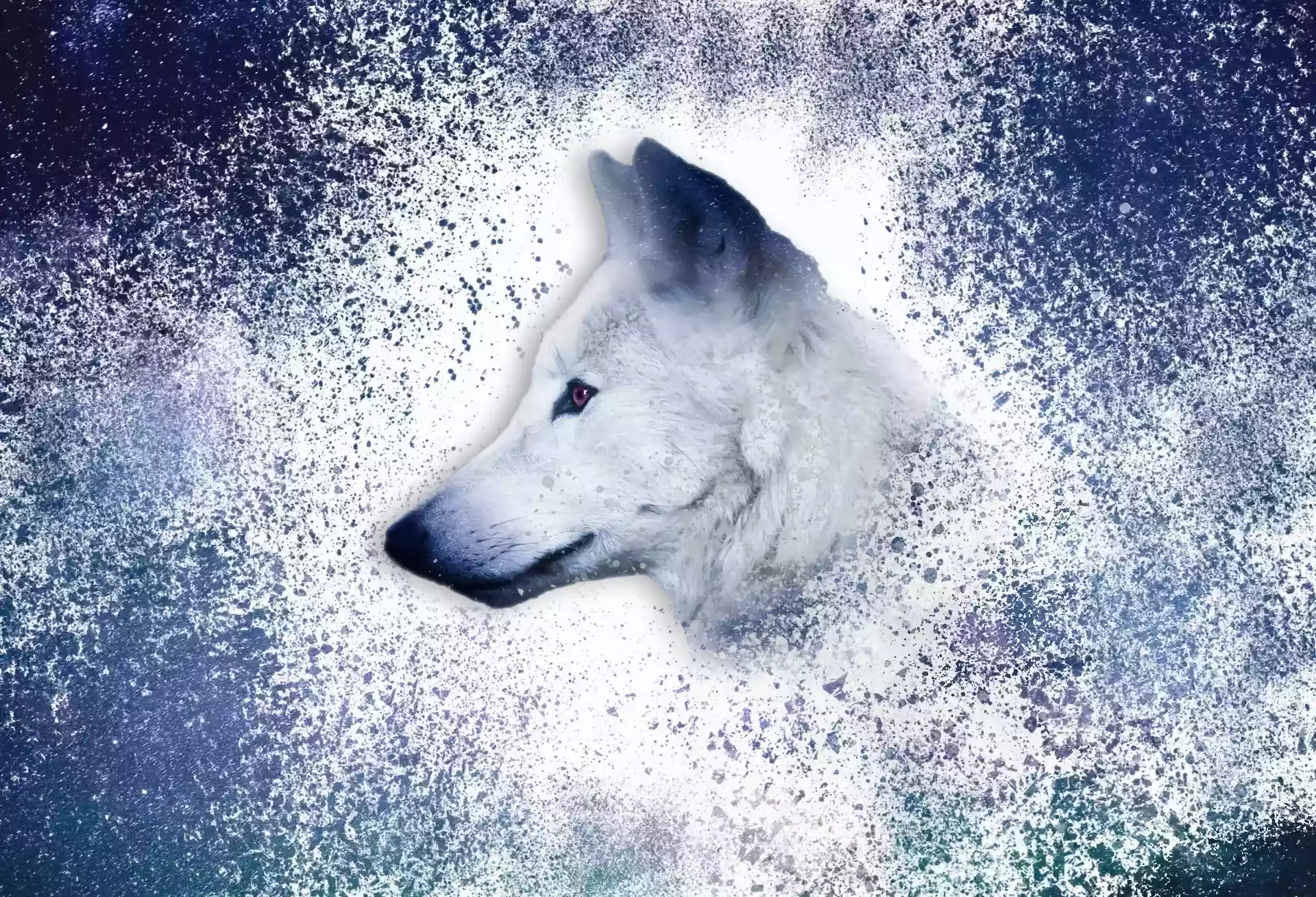Space Wolf